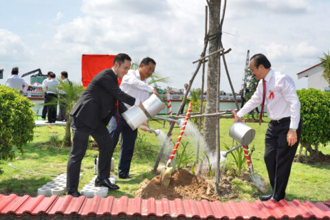 Laip Tree Planting